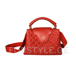 Louis Vuitton-ის ტყავის ჩანთა 6027